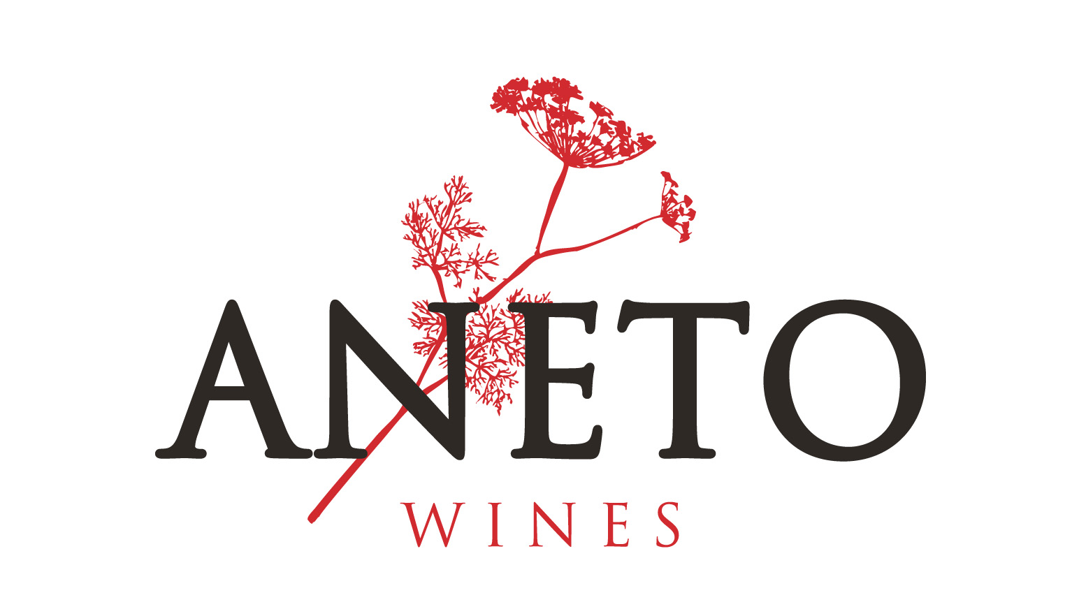 Vinhos Aneto
